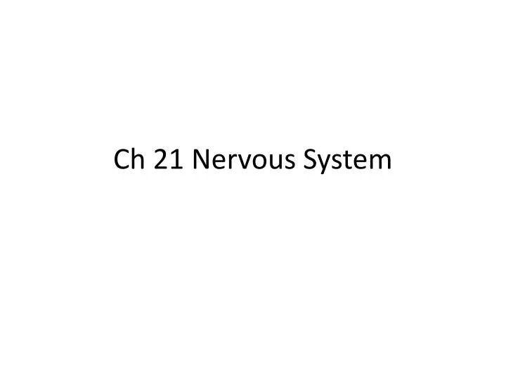 ch 21 nervous system