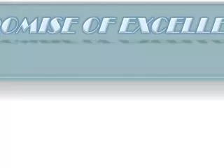 a promise of excellence