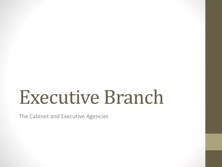 executive branch