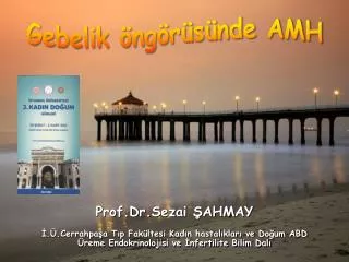 Prof.Dr.Sezai ŞAHMAY