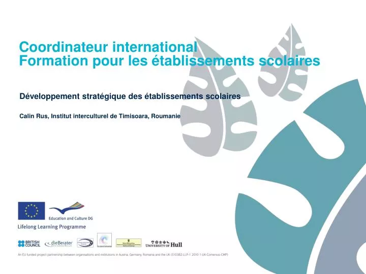 coordinateur international formation pour les tablissements scolaires