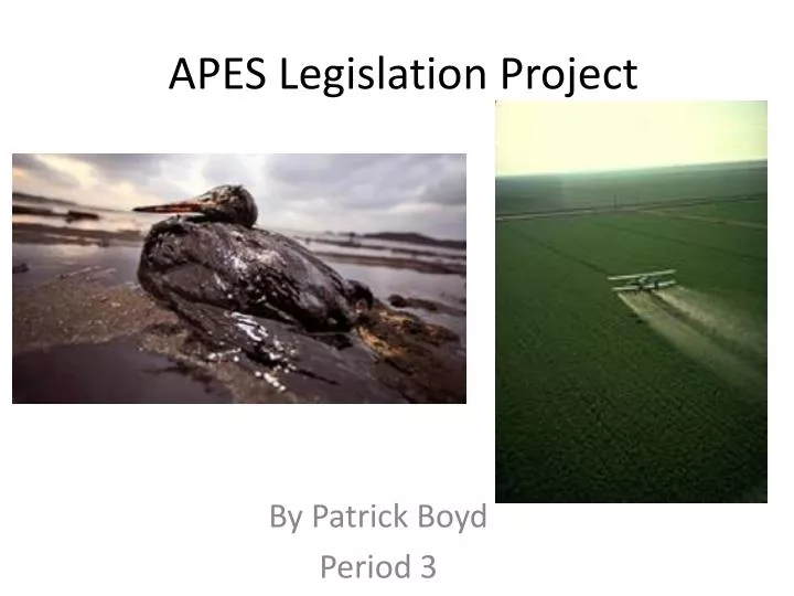 apes legislation project