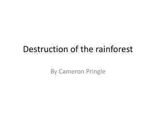 Destruction of the rainforest