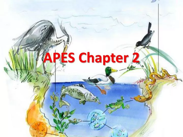 apes chapter 2