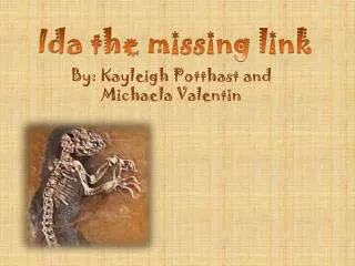 Ida the missing link