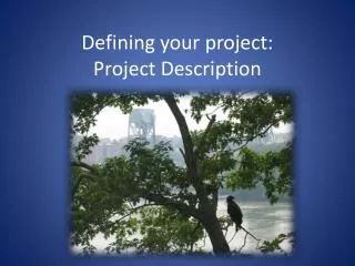 Defining your project: Project Description