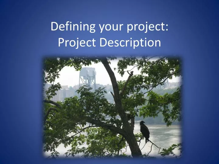 defining your project project description