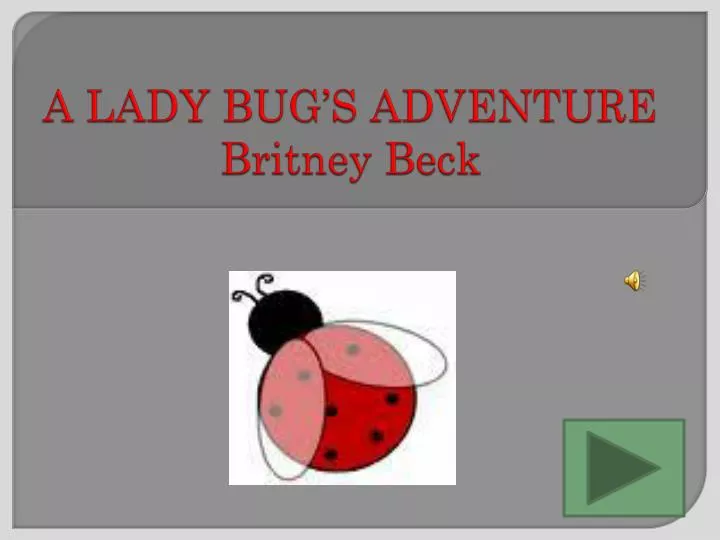 a lady bug s adventure britney beck