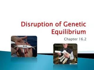 Disruption of Genetic Equilibrium