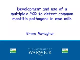 Development and use of a multiplex PCR to detect common mastitis pathogens in ewe milk