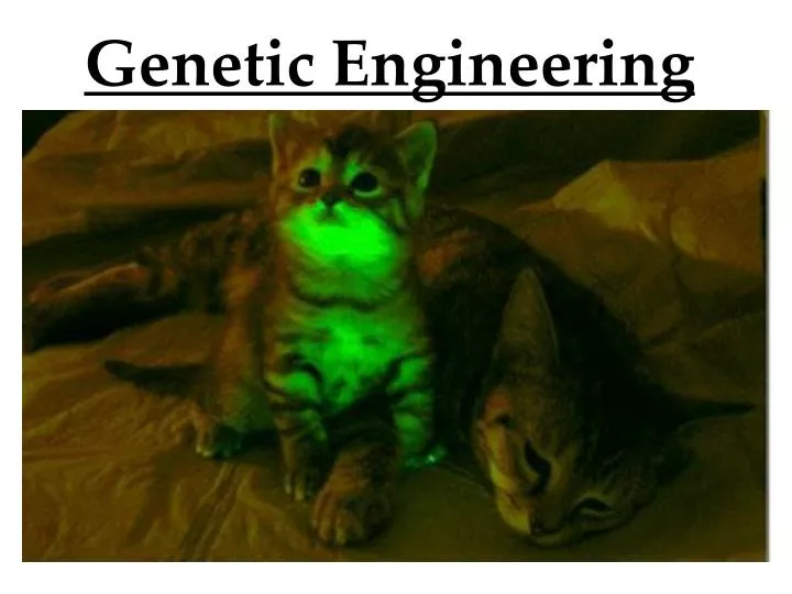 genetic engineering