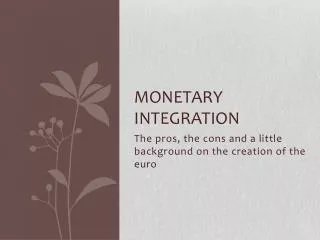 Monetary integration