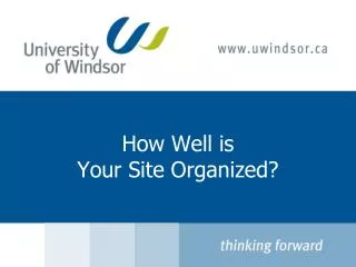 How Well is Your Site Organized?
