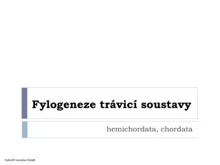 Fylogeneze trávicí soustavy