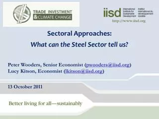 Sectoral Approaches: What can the Steel Sector tell us?