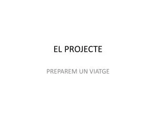 el projecte