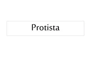 Protista