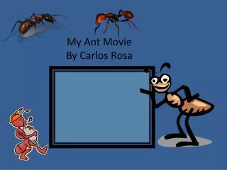 My Ant Movie By Carlos Rosa