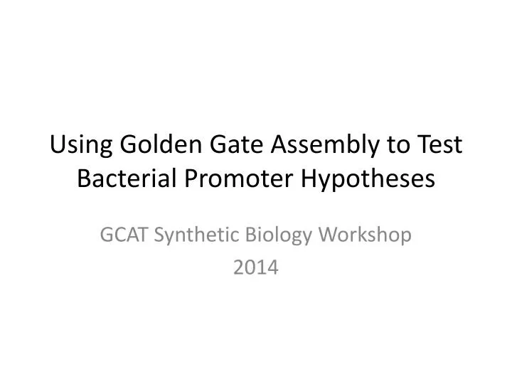 using golden gate assembly to test bacterial promoter hypotheses