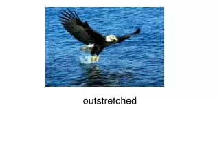 outstretched