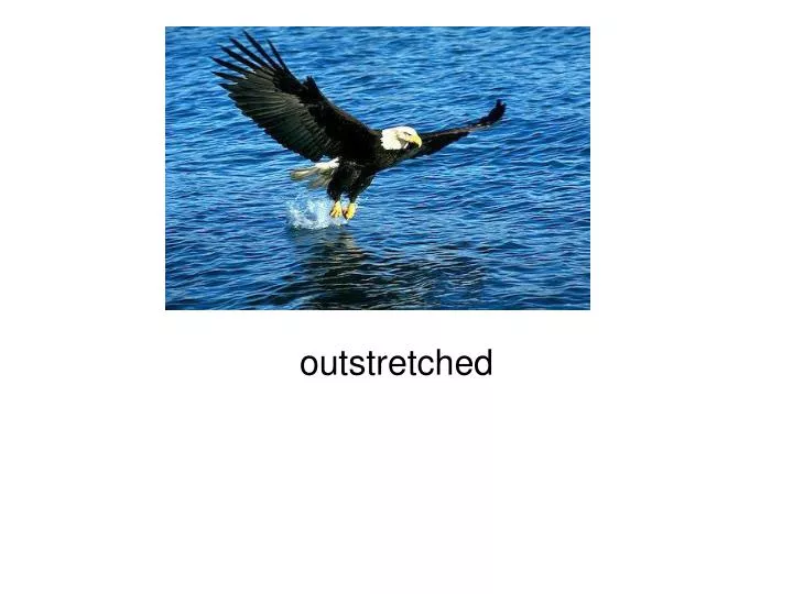 outstretched