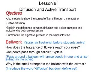 Lesson 6 Diffusion and Active Transport