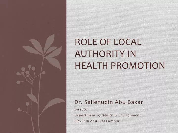 role of local authority in health promotion
