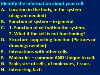 Identify the information about your cell: Location in the body, in the system (diagram needed)