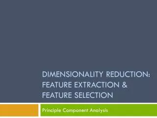 Dimensionality reduction: feature extraction &amp; feature selection