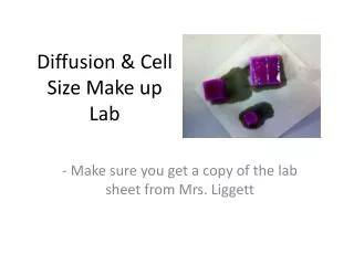 Diffusion &amp; Cell Size Make up Lab