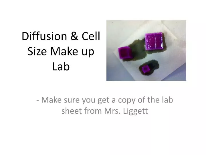 diffusion cell size make up lab