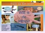 H3: Christendom als voorbeeld Visie op het leven - slide 1