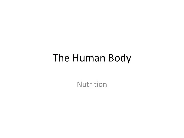 the human body