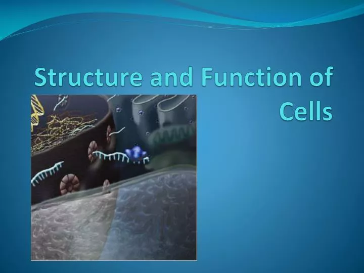 structure and function of cells