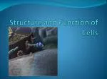 Structure and Function of Cells - slide 1