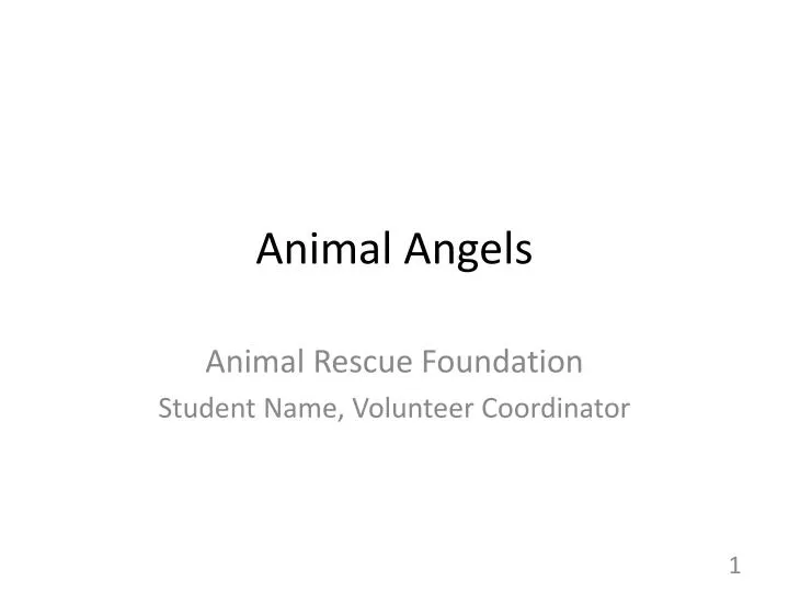 animal angels