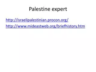 Palestine expert