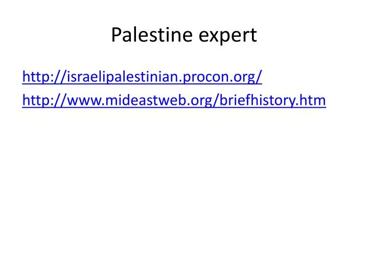 palestine expert