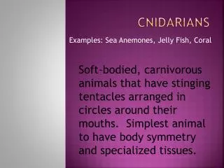 Cnidarians