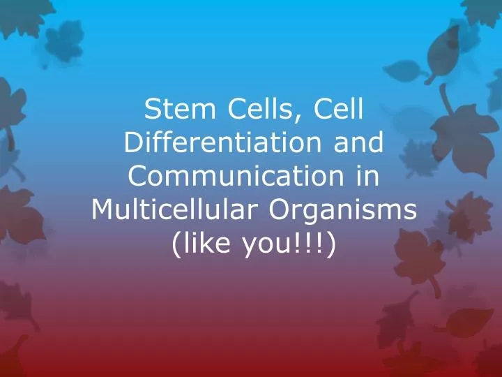 stem cells cell differentiation and communication in multicellular organisms like you