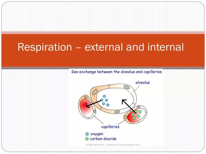 respiration external and internal