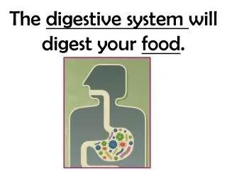 The digestive system will digest your food .