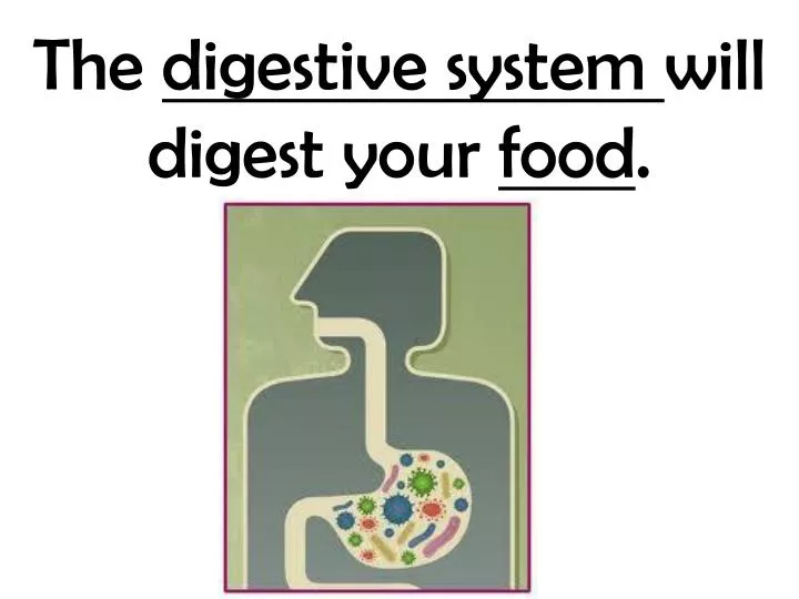 the digestive system will digest your food