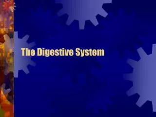 The Digestive System