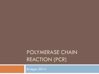 Polymerase Chain Reaction (PCR)