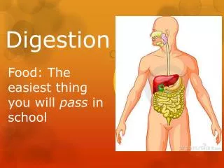 Digestion