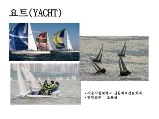 요트 (YACHT)