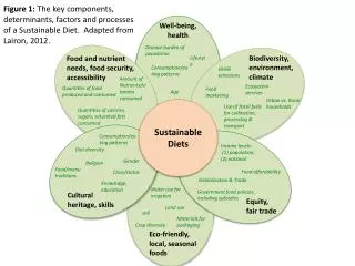 Sustainable Diets