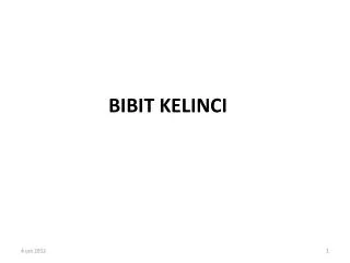 BIBIT KELINCI