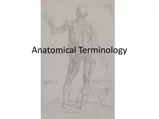 Anatomical Terminology